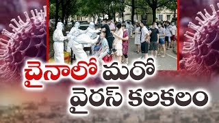 చైనాలో మిస్టీరియస్ వైరస్ కలకలం | New Virus Outbreak In China