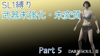 【実況】 SL1縛り 武器未強化・未変質 Part 5