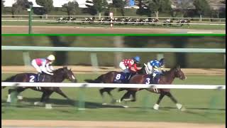 朝日杯フューチュリティステークス ドルチェモア優勝✨坂井瑠星騎手 #競馬 #朝日杯フューチュリティステークス #坂井瑠星