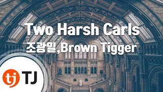 [TJ노래방] Two Harsh Carls - 조광일,Brown Tigger / TJ Karaoke