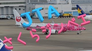 【JTA 】さくらジンベエ♪ in 中部国際空港(ｾﾝﾄﾚｱ)