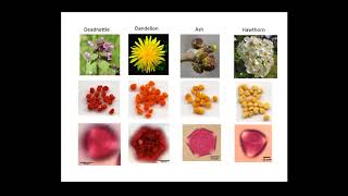 EAB Management & Pollinator Safety