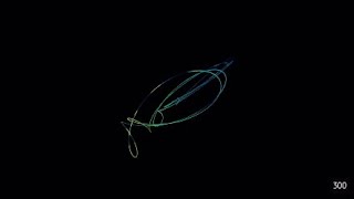3D Harmonograph Highlights #10