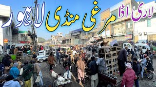 Lari Adda Murghi Mandi Sunday Bazaar Latest Price Update Badami Bagh Lahore Pakistan