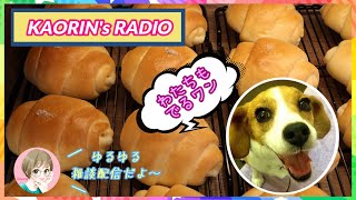 【雑談配信】あの話はNGになりました！愛犬ビーグルちびっこを病気から救済するまで終われまてん♪Day .26