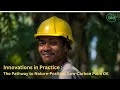 Innovations in Practice : The Pathway to Nature-Positive, Low-Carbon Palm Oil