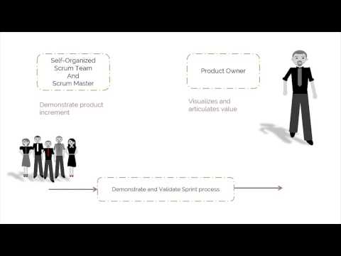 What are three benefits of self-organization increased creativity?