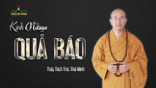 Kinh NiKaya | Quả Báo | Thầy Thích Trúc Thái Minh