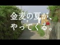 サントリー金麦 tvcm｜2014 檀れい「冷えてますの夏」