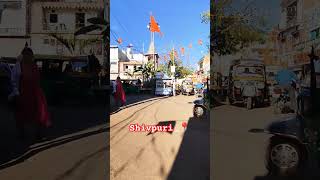 Shivpuri Madhya Pradesh City,#jhansikparindey #ytshorts #youtubeshorts #trending