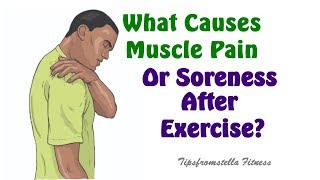 What Causes Muscle Pain Or Soreness After Exercise?