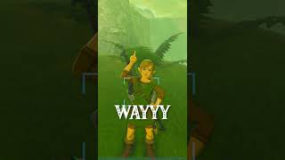 You Know You've Played TOO MUCH Zelda When... |Botw|
