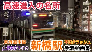 【ロングラン列車が高速進入】JR東海道本線(上野東京ライン) 新橋駅 平日夕ラッシュ発着動画集