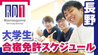 長野の合宿免許で大学生に合わせたスケジュールが人気の信州駒ヶ根自動車学校