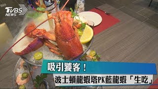 吸引饕客！　波士頓龍蝦塔PK藍龍蝦「生吃」