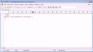 Beginner PHP Tutorial - 9 - print