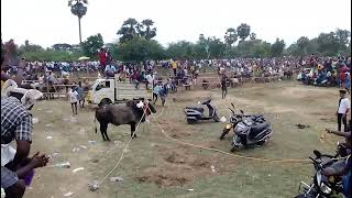 ulagampatti