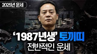 2025년 을사년 운세 / 1987년생 토끼띠의 전반적인 운세