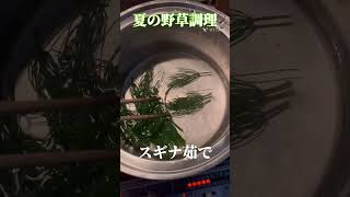 おつまみや副菜にどうぞ【スギナ料理】【貧乏飯】【高栄養食材】