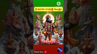 Sri Varaha Gayatri Mantra #varaharoopam #varahaswamy #avatar #varaha