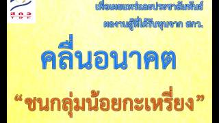 สารคดีวิทยุ คลื่นอนาคต ตอน ชนกลุ่มน้อยกะเหรี่ยง