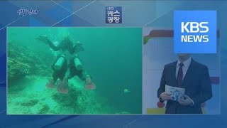 [생활경제] 해외 패키지여행 ‘안전 빨간불’ / KBS뉴스(News)