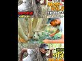 গরিবের man vs wild banglamanvswild vairalvideo adventure manvswildcomedy