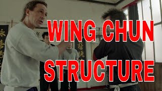 Wing Chun Principles of Structure