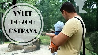 Výlet do ZOO Ostrava