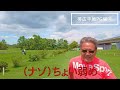 パークゴルフ　練習ラウンド（石森さん、住吉さん、ナゾpg、ナゾＪｒ）帯広平原ＰＧ④ parkgolf パークゴルフ ナゾＰＧ 파크골프