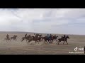 Аламан байга скачки horserace Китай Алтай Коктогай местные казахи.