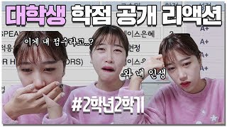 연대생 유튜버 학점 공개 리액션 #2학년2학기 | 유튜브, 학교생활 병행하면 받는 학점은? | 진수성찬 학점 | 새니 Seni