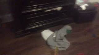 The aftermath