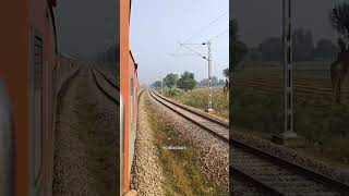 Curve😍 #shorts #railfans #shortsfeed #trainspotting #wdp4d#wdp4b #ytshorts #railway #railfan_akshat