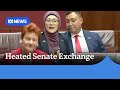 Fatima Payman accuses Pauline Hanson of racism in heated exchange | ABC News