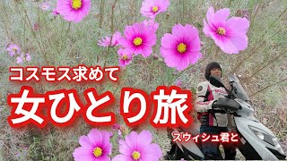 女ひとり原付二種スクーターの旅