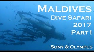 Maldives Dive Safari 2017 Part1 - Fish Head - Ari Atoll