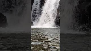 The Ripple Waterfalls | Munnar | Kerala | Nature Voice