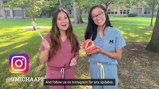 AAPD Oral Hygiene Tips for Kids 3+