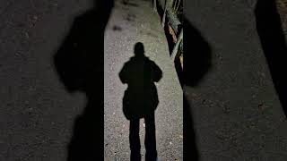 箕面滝道おもしろ動画　　夜明けの滝道を行くのはShadow man ？