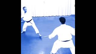 Shotokan Karate Nunchaku training #karate #martialarts #shotokan #kumite #shorts
