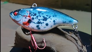 Lure Painting With Beginner