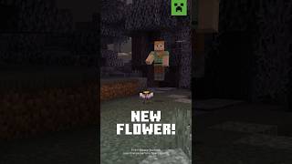 NEW FLOWER ALERT: EYEBLOSSOM!