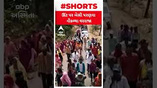 Mahisagar Marriage | મહીસાગરમાં ઊંટ પર બેસીને પરણવા નીકળ્યા વરરાજા, વીડિયો વાયરલ