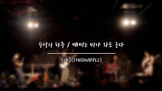 수성의 하루 & 매미는 비가 와도 운다 - 쏜애플 (Cover by 한뫼소리)