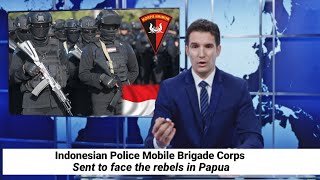 100 personnel Korps Brimob | Is it possible that the Papuan rebels will end ???