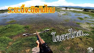 ยิงปลาบนสะพาน ระยะนี้โคตรไกล เสี่ยงดวง! sniper shootfish