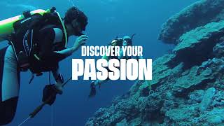 Reimagine Your Future at SDSU
