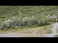 hikers are nearly attacked close call with alaskan grizzly bear