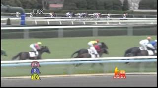 2013年 3歳未勝利 / ポセイドンバローズ